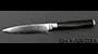 Shun DM0716 Paring Knife 103mm(4")
