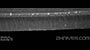 William Henry B12 spearpoint sharpened edge, 120x